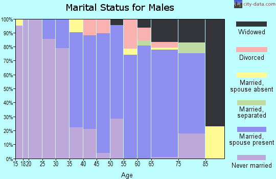 Zip code 78962 marital status for males