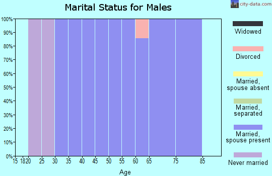 Zip code 78963 marital status for males