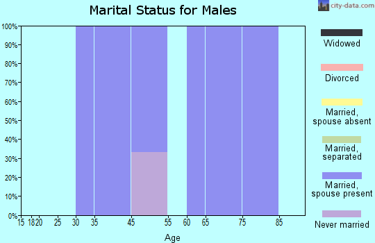 Zip code 79002 marital status for males
