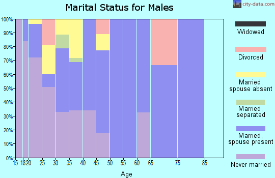 Zip code 79013 marital status for males