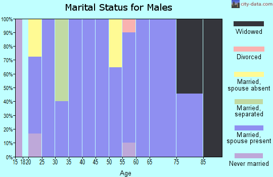 Zip code 79018 marital status for males