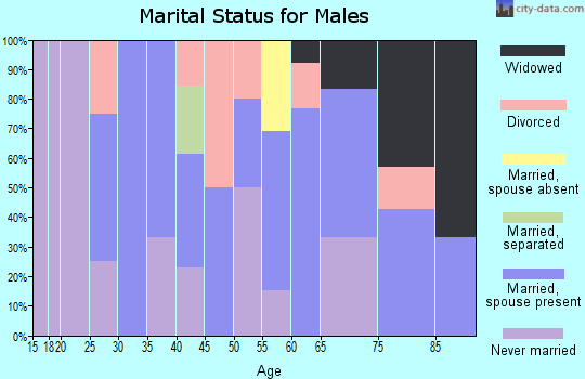 Zip code 79024 marital status for males