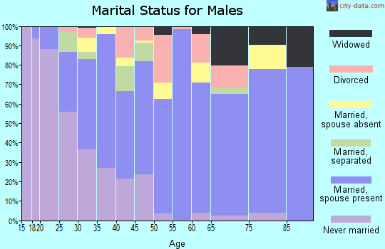 Zip code 79029 marital status for males