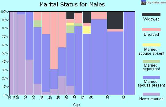 Zip code 79036 marital status for males