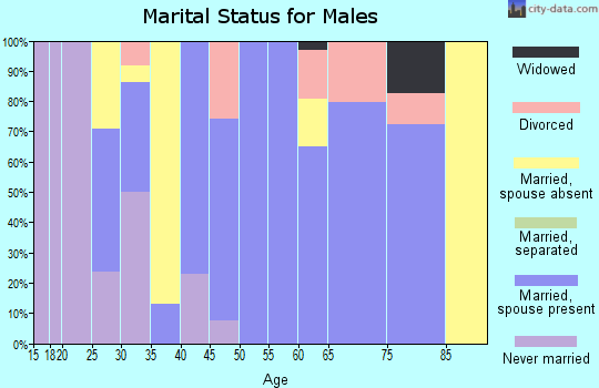 Zip code 79042 marital status for males