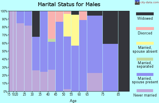 Zip code 79043 marital status for males