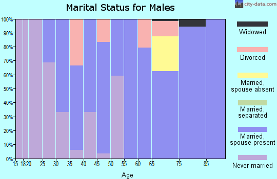 Zip code 79052 marital status for males