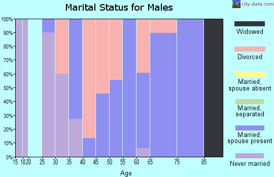 Zip code 79054 marital status for males