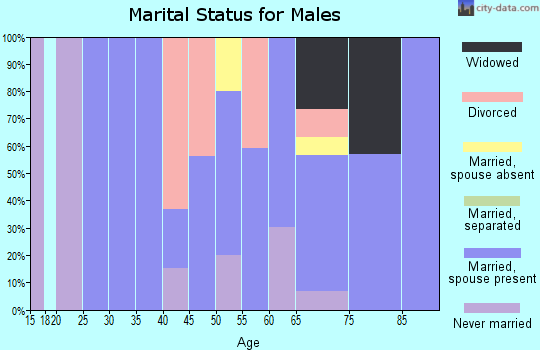 Zip code 79063 marital status for males