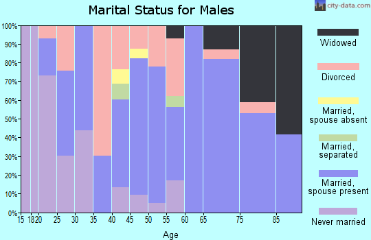 Zip code 79064 marital status for males