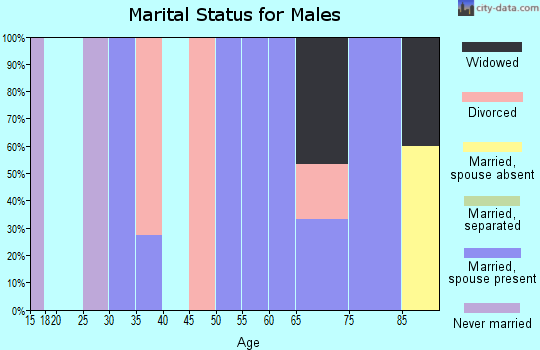 Zip code 79078 marital status for males
