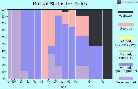 Zip code 79080 marital status for males