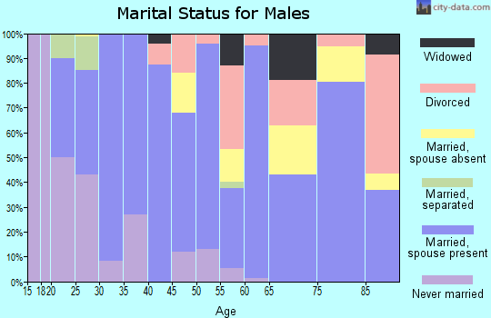 Zip code 79081 marital status for males