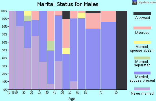 Zip code 79083 marital status for males