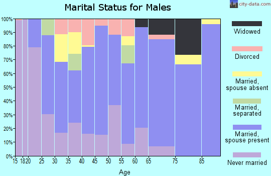Zip code 79084 marital status for males