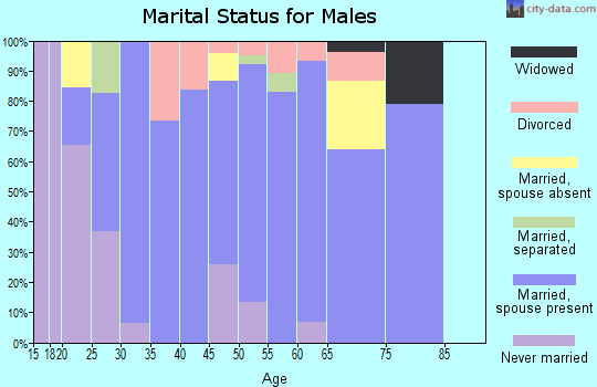 Zip code 79086 marital status for males