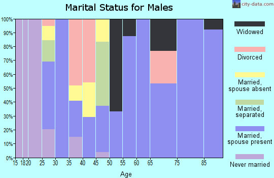 Zip code 79087 marital status for males
