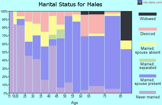 Zip code 79088 marital status for males