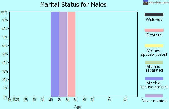 Zip code 79091 marital status for males