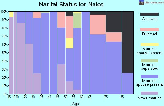 Zip code 79095 marital status for males