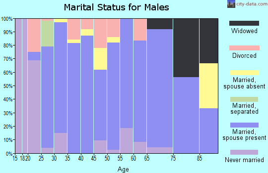 Zip code 79096 marital status for males
