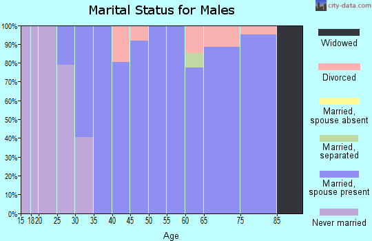 Zip code 79097 marital status for males
