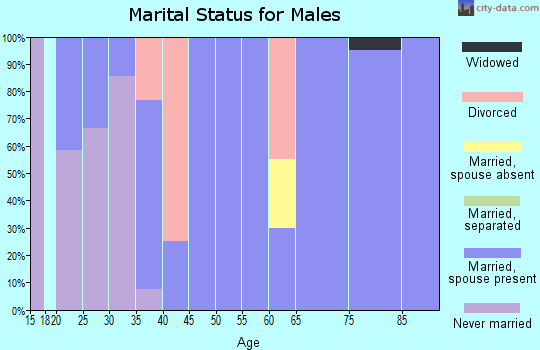 Zip code 79098 marital status for males