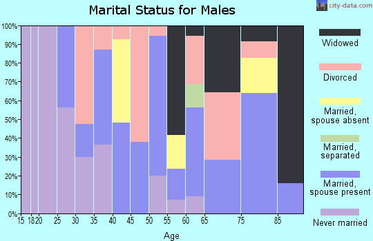 Zip code 79101 marital status for males
