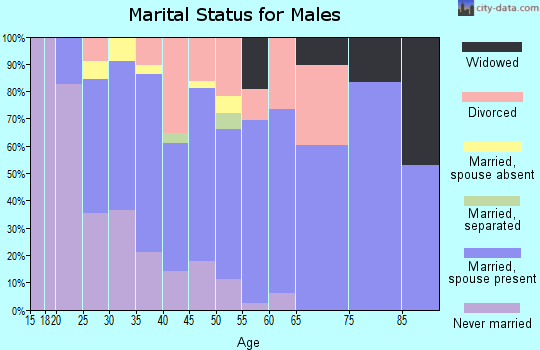 Zip code 79102 marital status for males