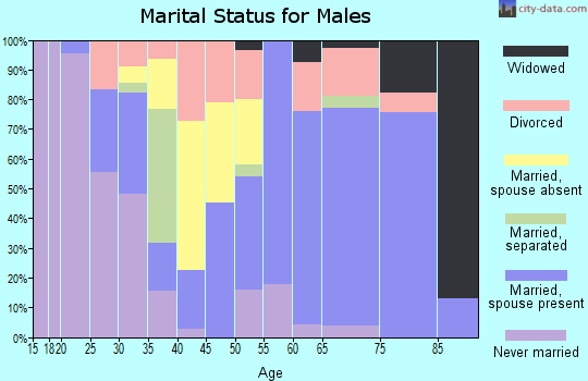 Zip code 79104 marital status for males