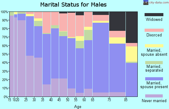 Zip code 79106 marital status for males