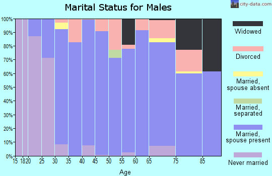 Zip code 79121 marital status for males