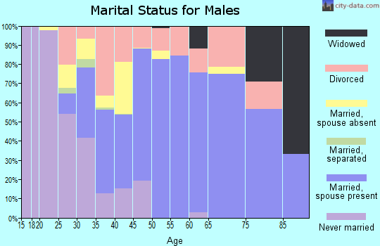 Zip code 79201 marital status for males