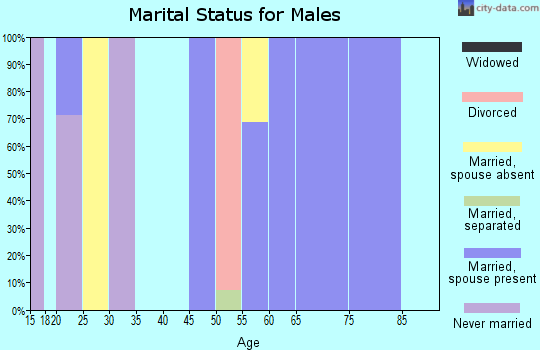 Zip code 79233 marital status for males