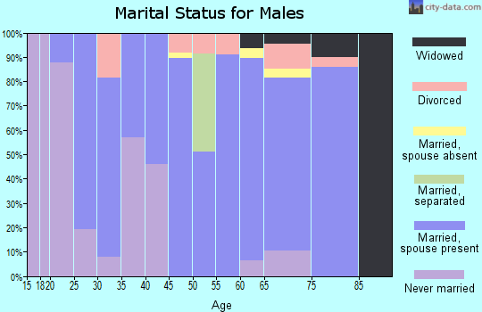 Zip code 79248 marital status for males