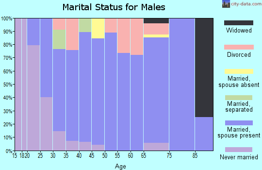 Zip code 79311 marital status for males