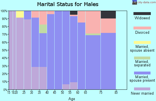 Zip code 79313 marital status for males