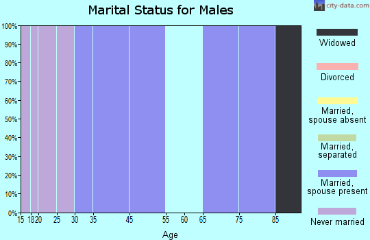 Zip code 79320 marital status for males