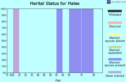 Zip code 79330 marital status for males