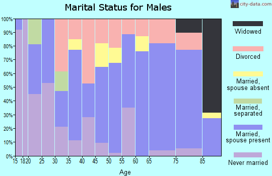 Zip code 79339 marital status for males