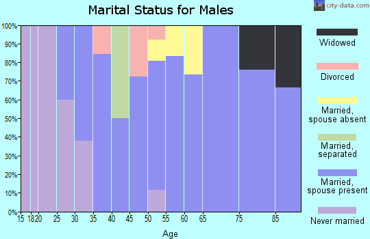 Zip code 79342 marital status for males