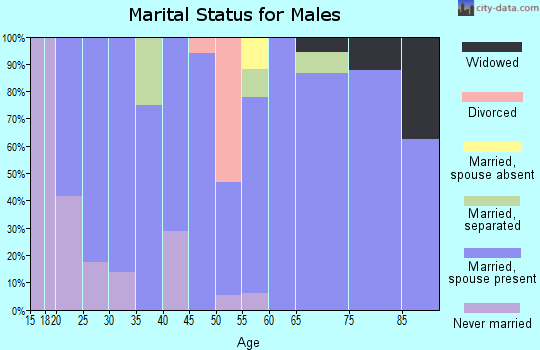 Zip code 79343 marital status for males