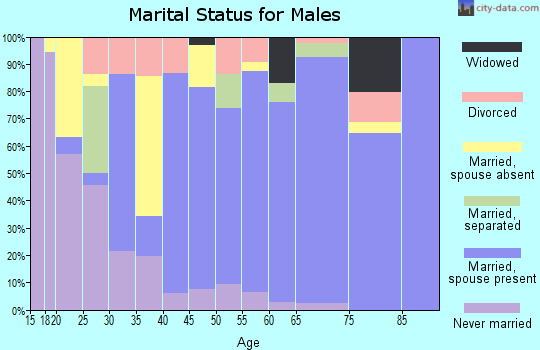 Zip code 79346 marital status for males