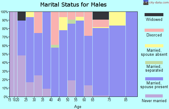 Zip code 79347 marital status for males
