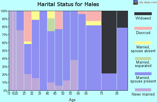 Zip code 79355 marital status for males