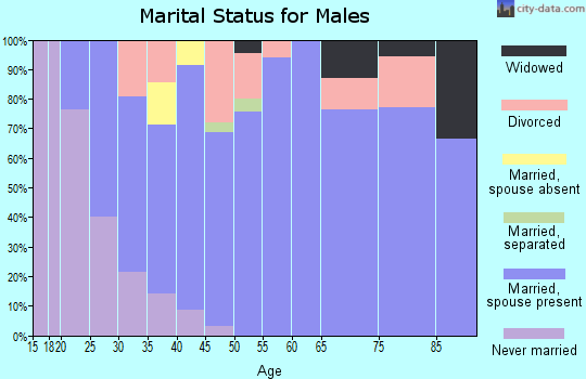 Zip code 79358 marital status for males
