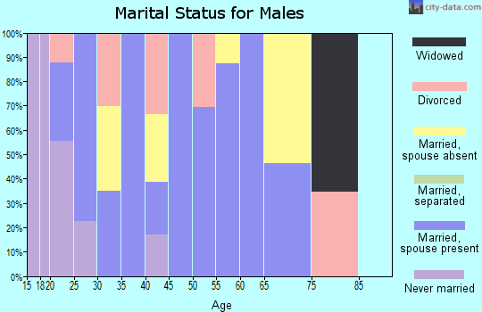 Zip code 79359 marital status for males