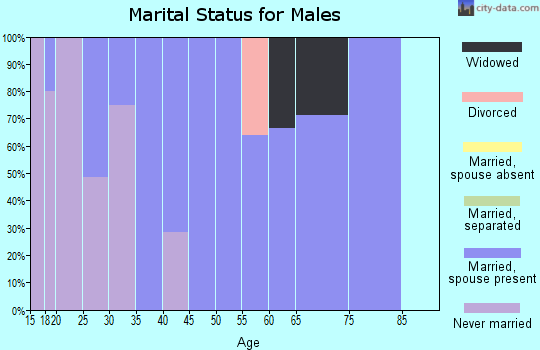 Zip code 79367 marital status for males