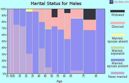 Zip code 79373 marital status for males