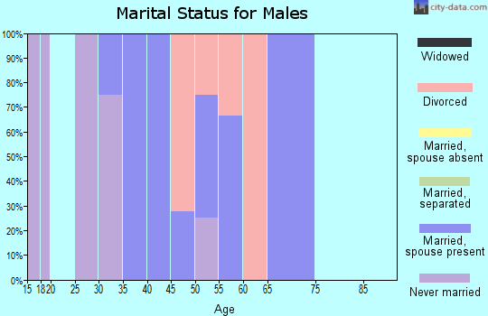 Zip code 79378 marital status for males